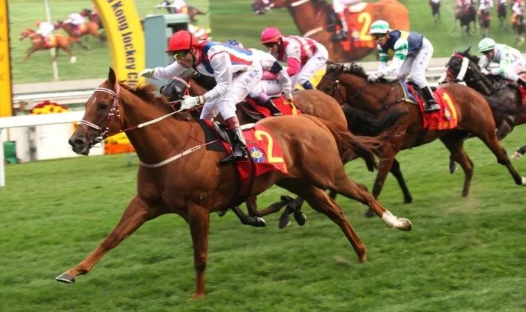 Khám Phá Thế Giới Cá Cược Đua Ngựa VT999: Những Điều Bạn Cần Biết 8 Đua Ngựa VT999